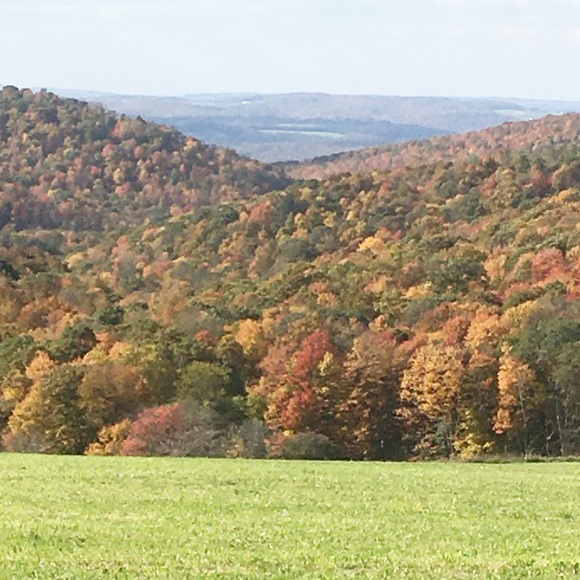 💖Meet your Posher, Eva Like my Closet to Follow! - Picture 12 of 16